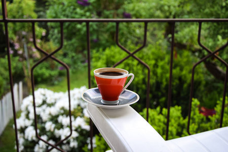 cup of coffee in the gardenの写真素材