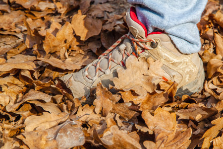The sneaker stands in the brown autumn foliage. Side view. Close-up