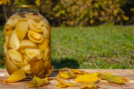 A jar of canned chopped green tomatoes stands on a board with leaves on a background of grass. Traditional Russian snackの写真素材