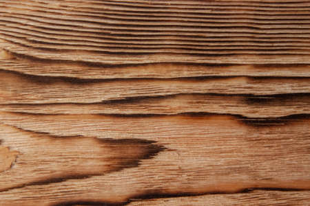 The dark texture of the wood is subject to mechanical processingの写真素材
