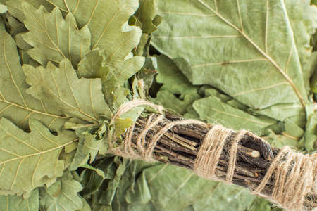 A real Russian bath broom made of oak branches, wrapped with twine. On the background of another broomの写真素材