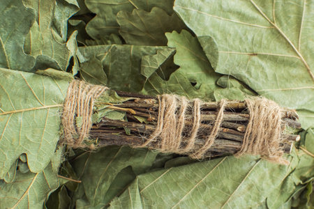 Twine-wrapped oak branches of a bath broom. Close-up. Natural product for the Russian bathの写真素材