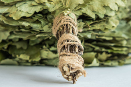 Oak branches of a bath broom rewound with twine. Close-up. Selective Focusの写真素材