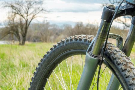 Part of the front wheel and fork of a mountain bike on a blurry background of green grass and forest...