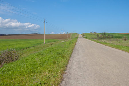 The asphalt road borders a plowed and green field. The background is blue sky and clouds. There are...