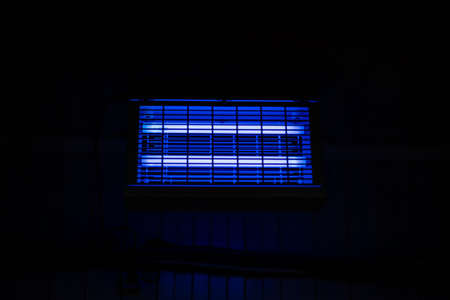 Ultraviolet lamp in the food processing room. The concept of cleanliness and hygiene. The lamp's blue light kills bacteriaの写真素材