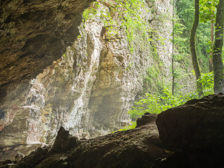 View of the rock and trees from the entrance to the cave. Travel concept