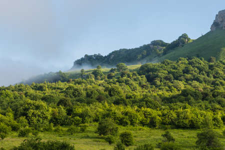 Small green bushes on the mountainside. In the background is fog and a blue sky. Morning landscapeの写真素材