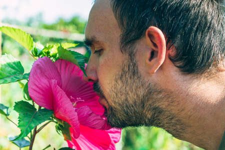 A man's head is sniffing a pink hibiscus flower. Close-up. Side view. The concept of romance and gardeningの写真素材