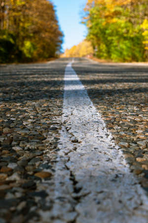 A crack in the asphalt on a white strip of road markings. Close-up. In the background blurred yellow-green trees and blue sky. Bottom foreshorteningの写真素材