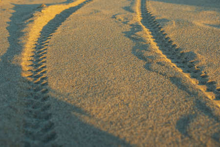 Two bicycle tire tracks in the sand. The golden color of the sand at sunset. Close-up, selective focusの写真素材