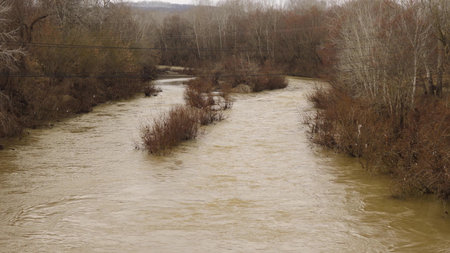 The slow flow of a muddy, brown river. On the edges of the bank stand bare trees without leaves. A...