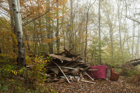 Construction debris dumping in a foggy autumn forest. Pollution of the environment. Ecology...