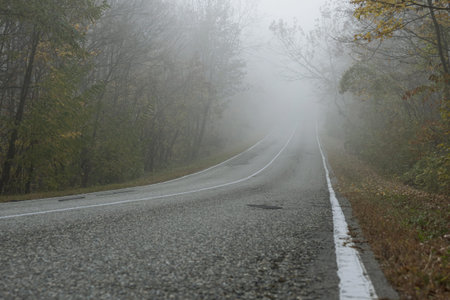 A country road passes through an autumn foggy forest. Traces of patching can be seen on the asphalt....