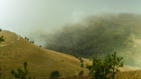 A low flying rain cloud sweeping over the mountains with green Christmas trees. Mountain scenery...