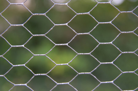 Wire mesh