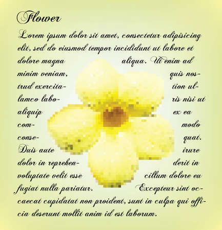 flower text backgroundのイラスト素材