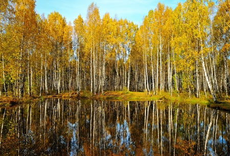 Autumn in the parkの写真素材