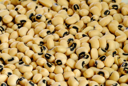 Beans