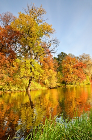 Colorful autumn trees on the lakeの写真素材