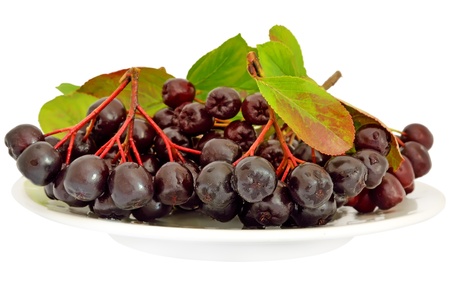 Black chokeberry (Aronia melanocarpa) on a plate isolated on a white backgroundの写真素材