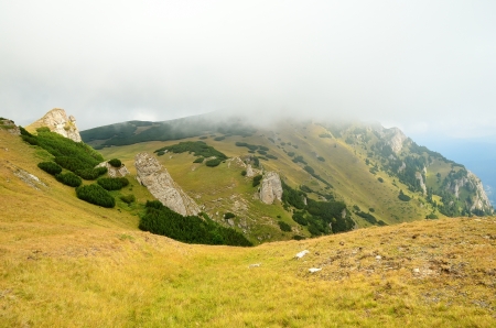 Carpathian mountains in a summerの写真素材
