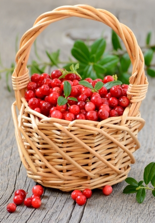 Cowberries in the basket on wooden tableの写真素材