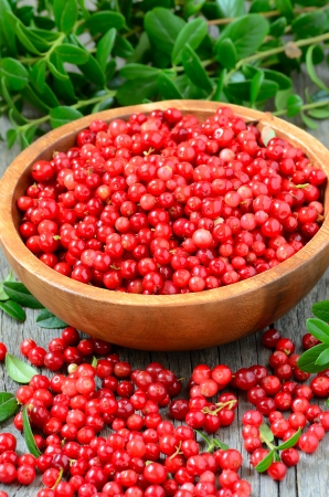 Cowberries in brown bowl on wooden tableの写真素材