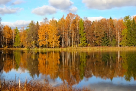 Colorful autumn trees on the lakeの写真素材