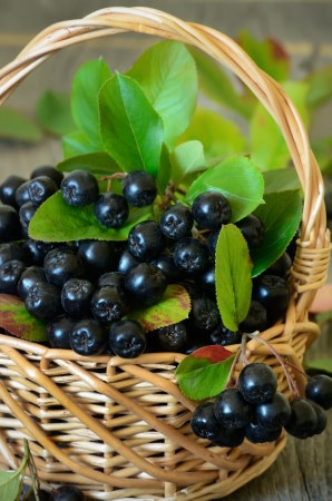 Black chokeberry in the basket on wooden tableの写真素材