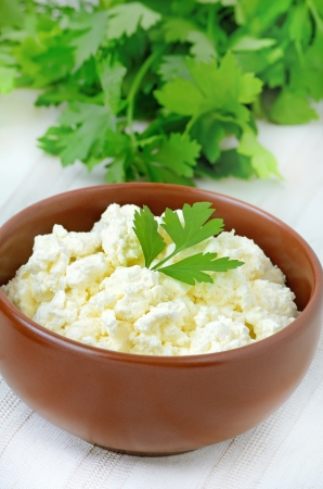 Cottage cheese in the brown ceramic bowl の写真素材