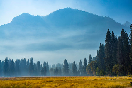 Yosemite Valley Camp Viewの写真素材