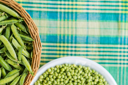 Opened and unopened green pea pods. Space for text.の写真素材