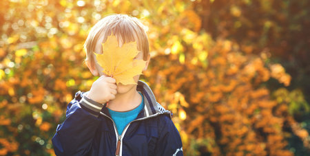 Funny child playing in autumn park. Little boy hide his eyes behind a maple leaf. Happy childhood....