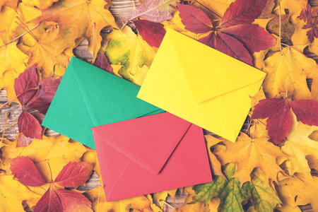 Colored envelopes on autumn leaves background. Autumn holidays concept. Letter in autumn time....