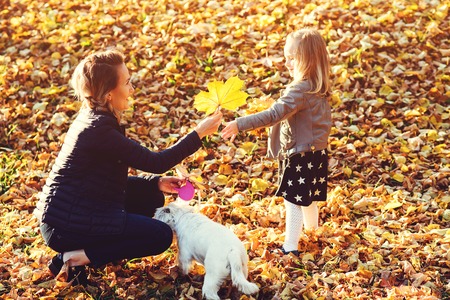 Family walk in the autumn park. Happy family and their dog enjoying fallen leaves on nature. Mother, daughter and dog outdoors. Autumn holidaysの写真素材