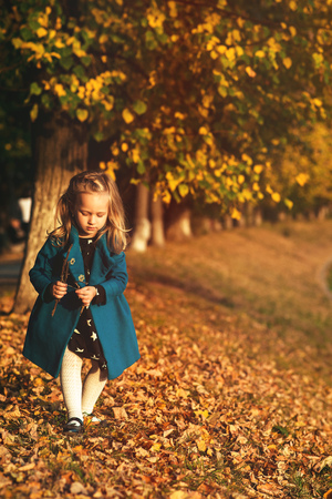Fashion little girl in a blue coat walking at autumn park. Autumn kids fashion. People, lifestyle and autumn concept. Happy baby girl playing with fallen golden leaves. Autumn holidaysの写真素材