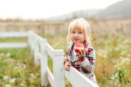 Happy little girl eating apple outdoors. Cute child girl on a walk on a farm. Girl with amazing eyes and blonde hair. Healthy food concept. Summer timeの写真素材