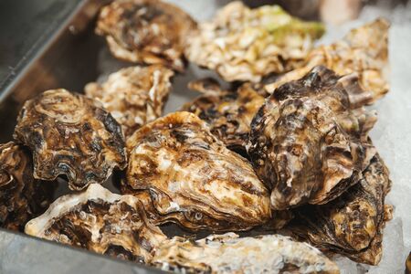 Fresh oysters at showcase. Oyster shells, close up. Healthy seafood concept. Fish market showcase full of fresh oysters and shrimps. Traditional fish market stall with shell oysters.の写真素材