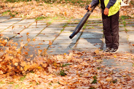 Worker cleaning falling leaves in autumn park. Man using leaf blower for cleaning autumn leaves. Autumn season. Park cleaning service.の写真素材