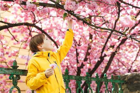 Smiling preteen boy walking in spring park. Handsome boy posing near sakura blooming tree. Cute boy wearing stylish outfit at spring. Lifestyle, childhood and fashion concept.の写真素材