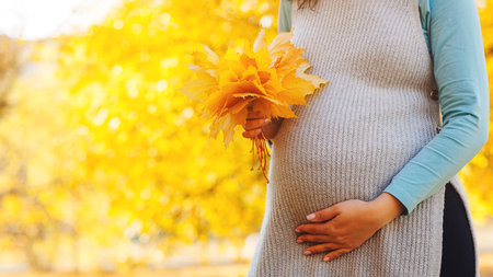 baby expectation. Pregnant woman outdoors in autumn. Woman having happy pregnancy time. Pregnant woman's belly over autumn background. Pregnant woman in touching big belly with hands.の写真素材