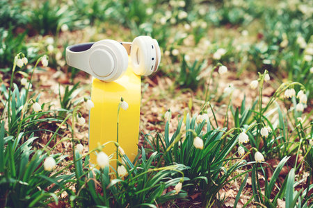 Spring flowers and headphones. wireless headphones. Music, lifestyle and technology concept. White...