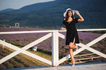 Sexy woman in elegant black dress and hat posing in bloomig lavender field. Fashion outdoor photo of beautiful girl. Lavender landscape. Fashion, travel and lifestyle.の写真素材