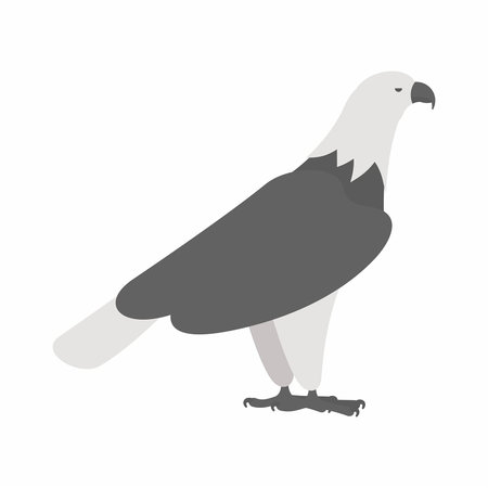 Eagle icon on white background, vector illustration.のイラスト素材
