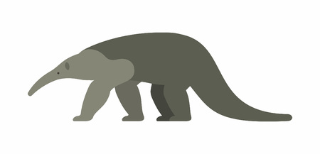 Giant anteater icon isolated on white background, vector illustration.のイラスト素材