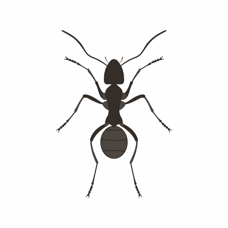 Ant Vector illustration on white background.のイラスト素材