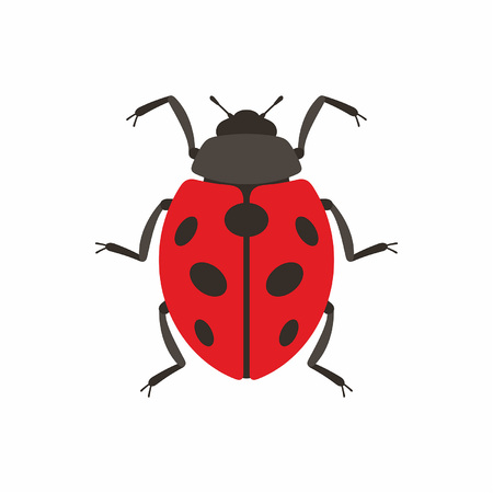 Ladybug Vector illustration on white background.のイラスト素材