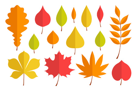 Autumn leaves set. flat style. isolated on white backgroundのイラスト素材