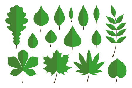 Set of green autumn leaves. flat style. isolated on white backgroundのイラスト素材